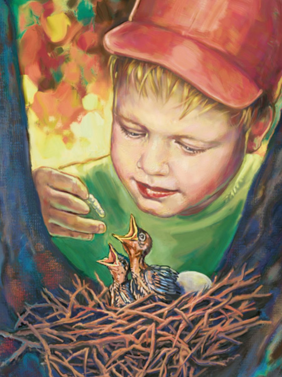 A boy feeds baby birds