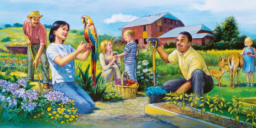 People enjoy life in Paradise