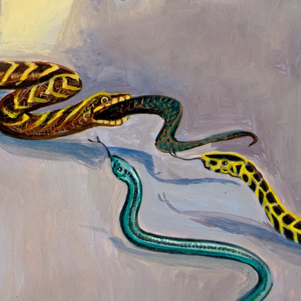 Aaron’s snake eats the other snakes