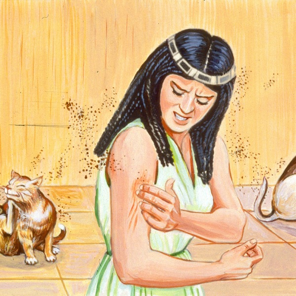 A woman is bitten by gnats during the third plague