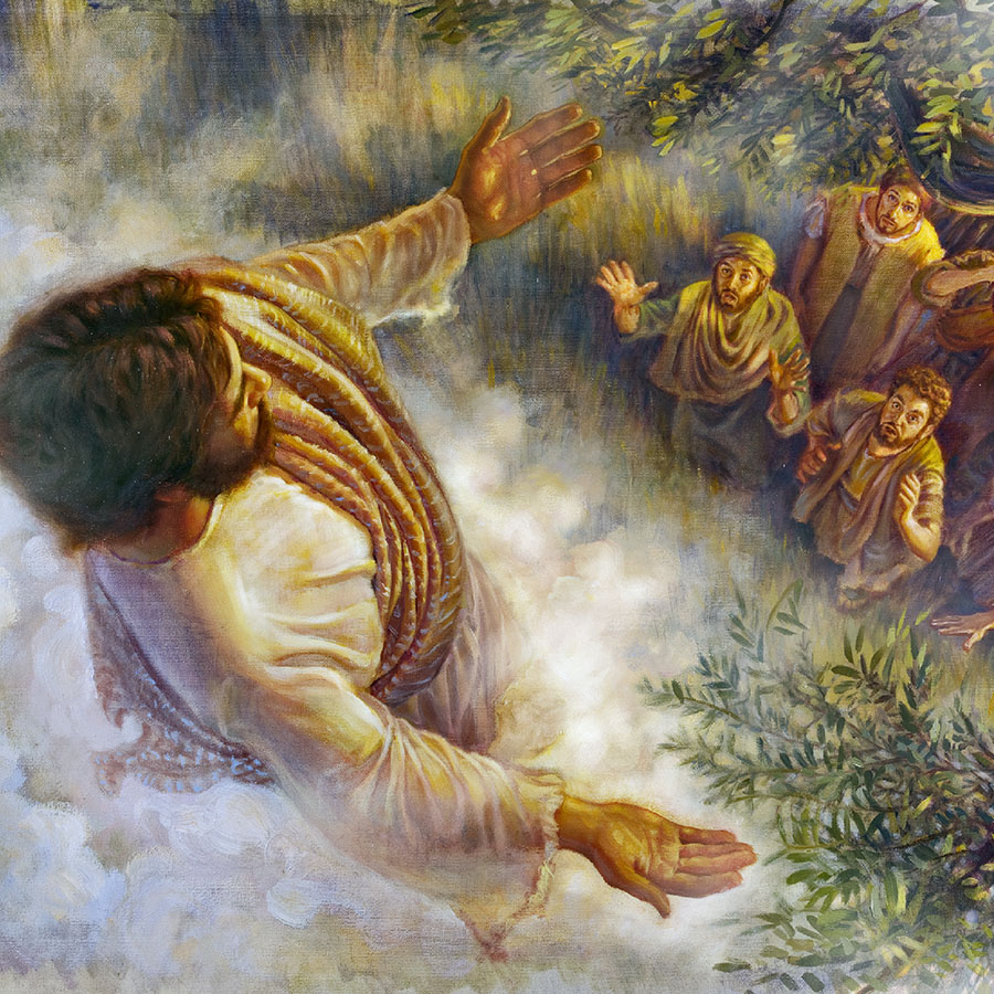 Jesus ascends into the heavens as the apostles gaze after him