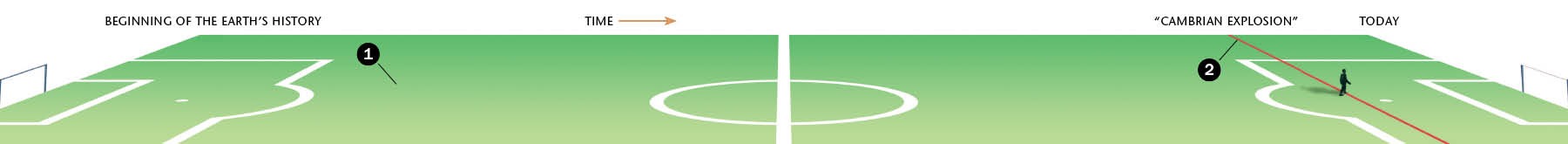 A time line the length of a soccer field shows the beginning of earth’s history to the so-called Cambrian explosion