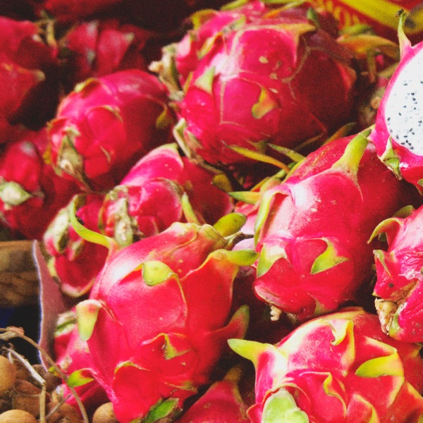 Dragon fruit