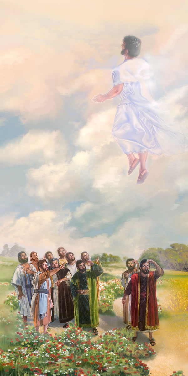 Jesus ascends to heaven as his faithful apostles watch