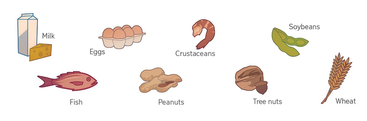 Milk, eggs, crustaceans, soybeans, fish, peanuts, tree nuts, and wheat