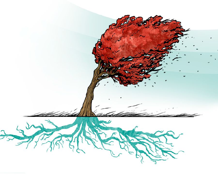 A tree with a strong root system withstands a powerful wind