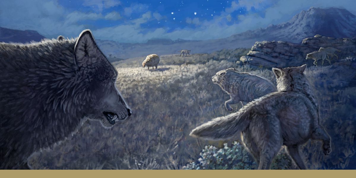 A lone sheep amid a pack of wolves.