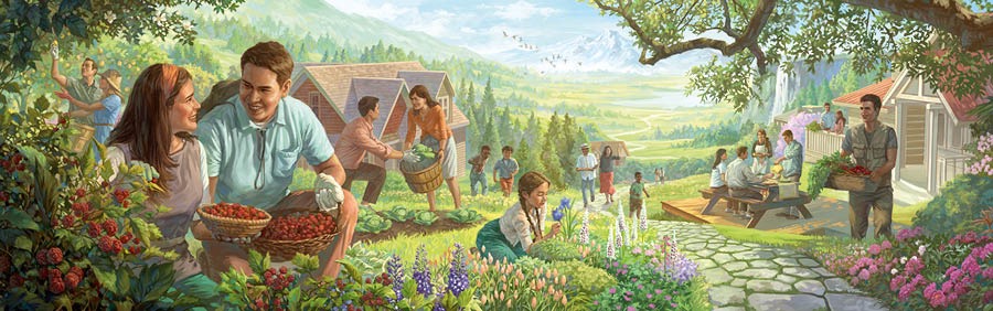 People enjoy life in Paradise