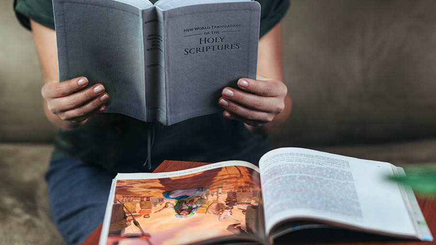 The sister reading the Bible and a Bible-based publication.