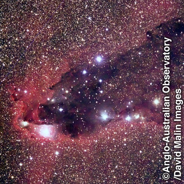 A telescopic view of brilliant stars and galaxies.