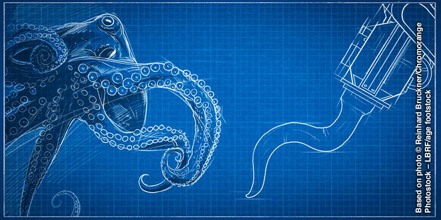 An octopus and a robotic arm
