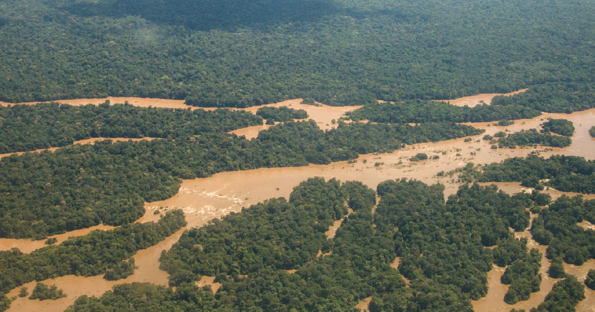 An aerial view of the Maroni River and the Amazon rain forest.